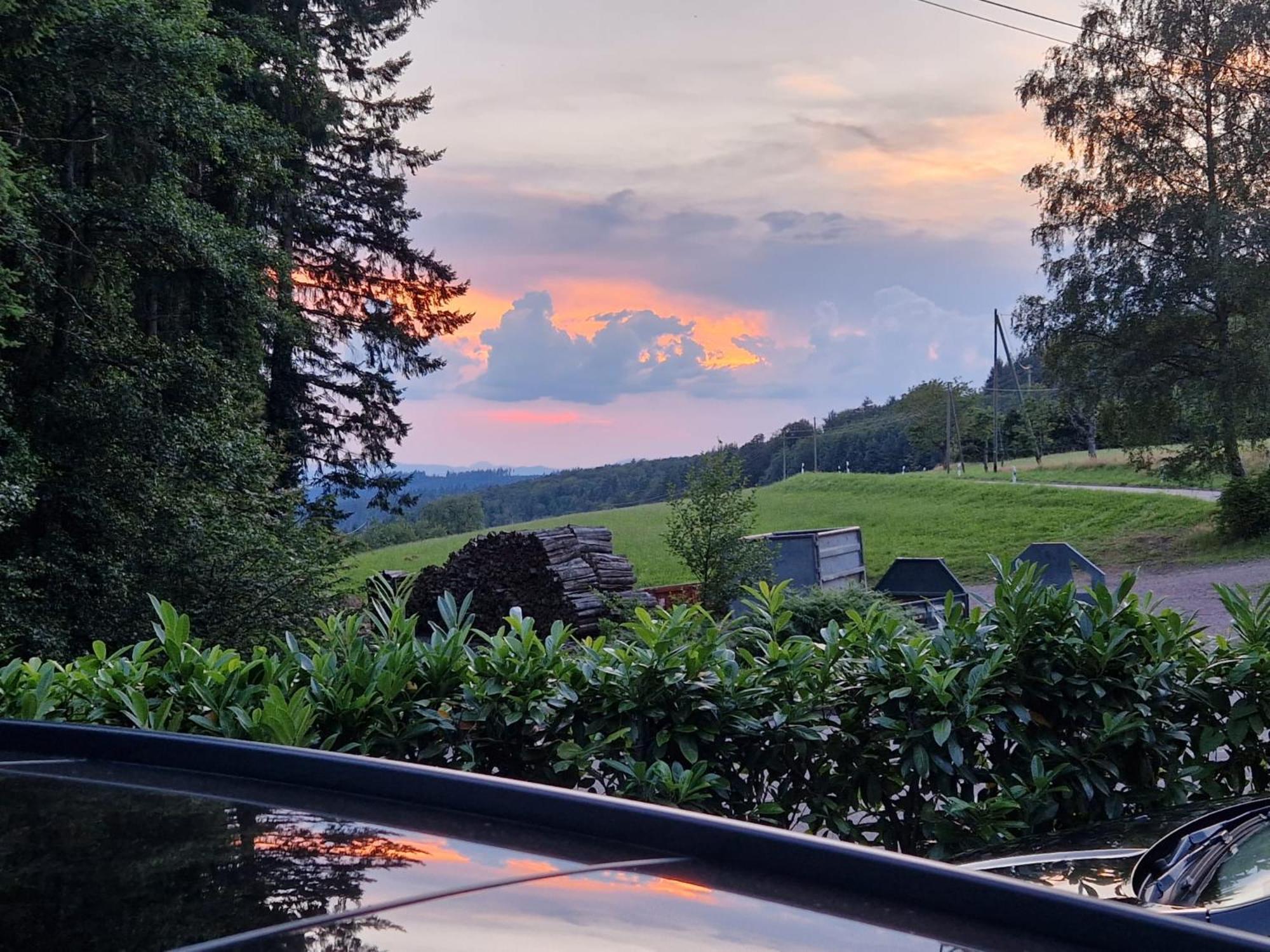 Готель Ferien Im Schwarzwald Freiamt Екстер'єр фото