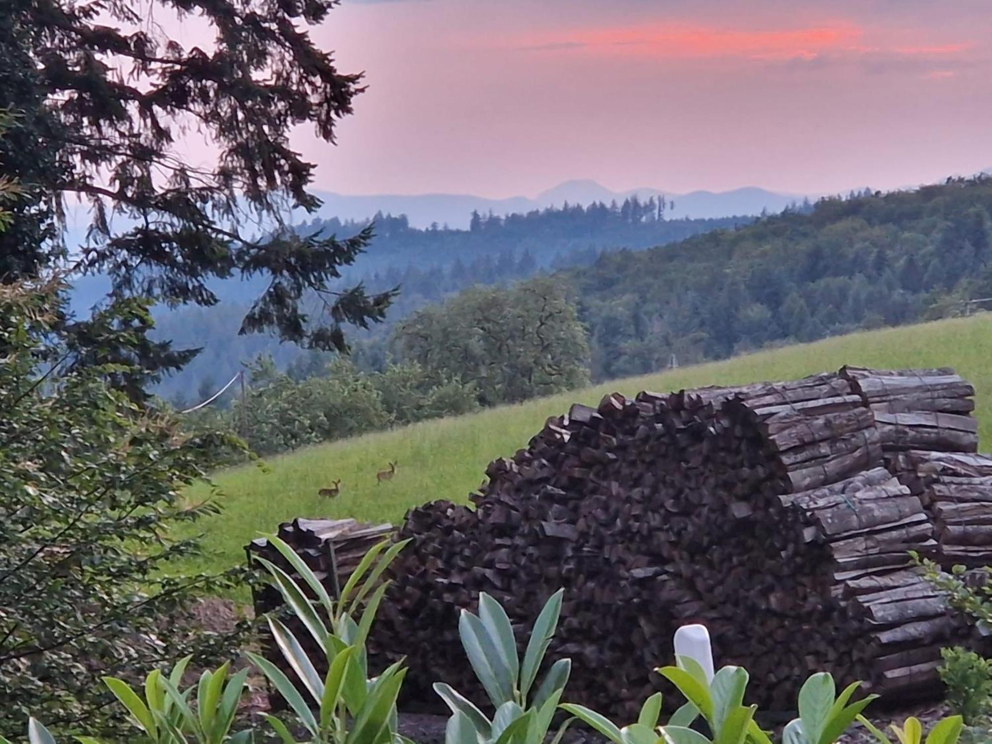Готель Ferien Im Schwarzwald Freiamt Екстер'єр фото