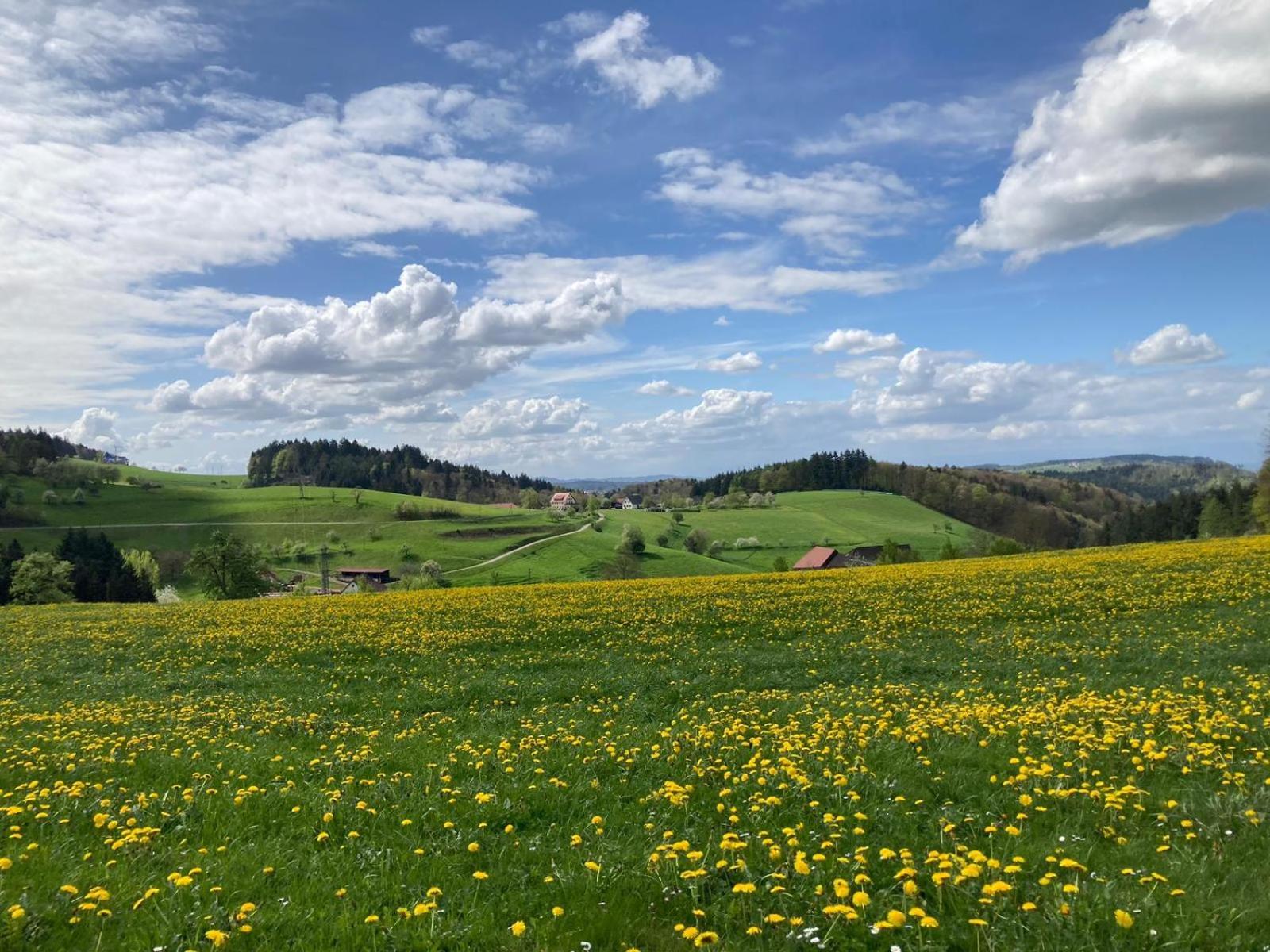 Готель Ferien Im Schwarzwald Freiamt Екстер'єр фото