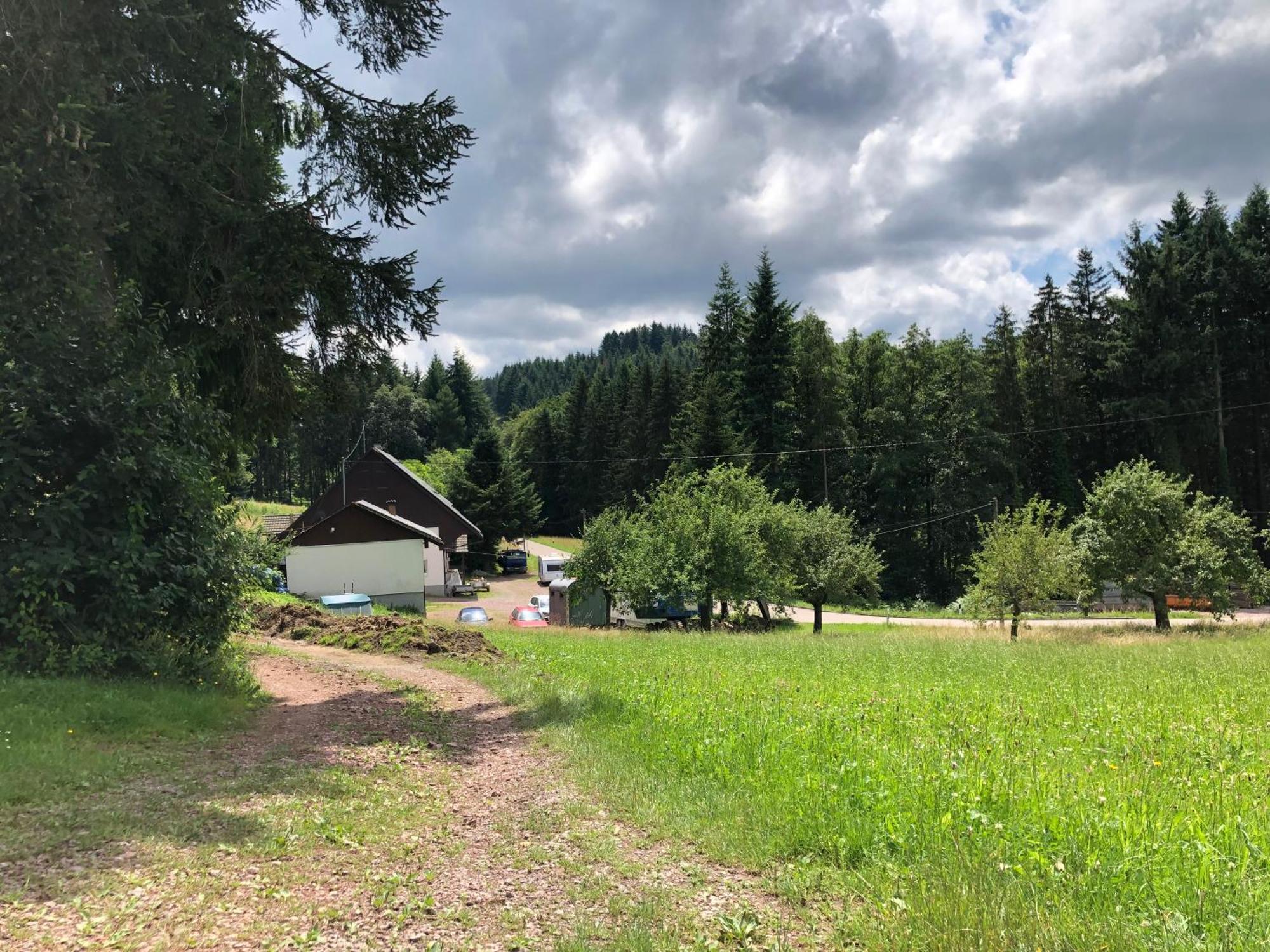 Готель Ferien Im Schwarzwald Freiamt Екстер'єр фото