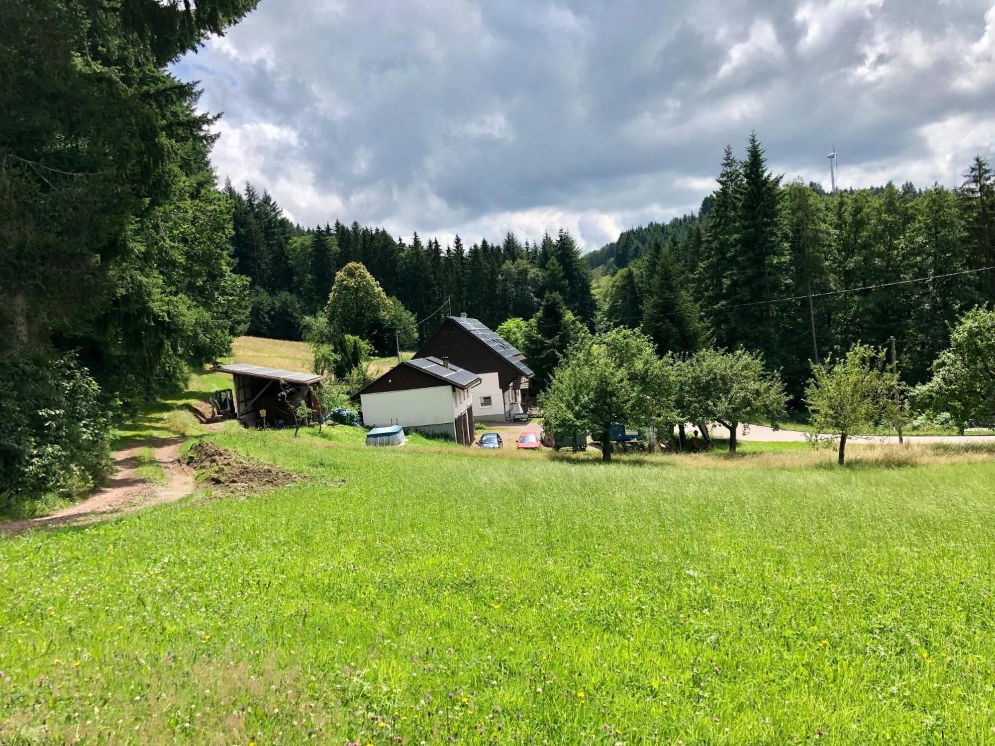 Готель Ferien Im Schwarzwald Freiamt Екстер'єр фото