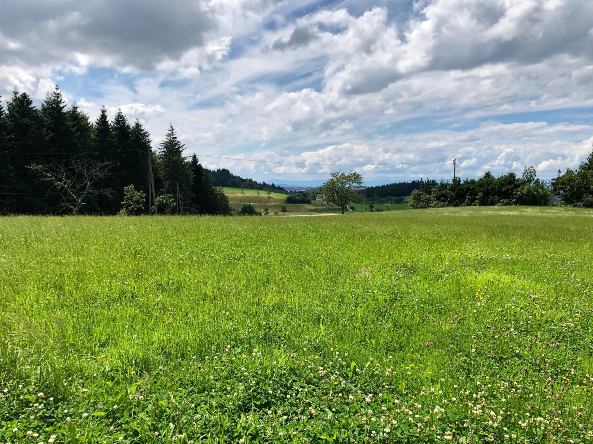 Готель Ferien Im Schwarzwald Freiamt Екстер'єр фото