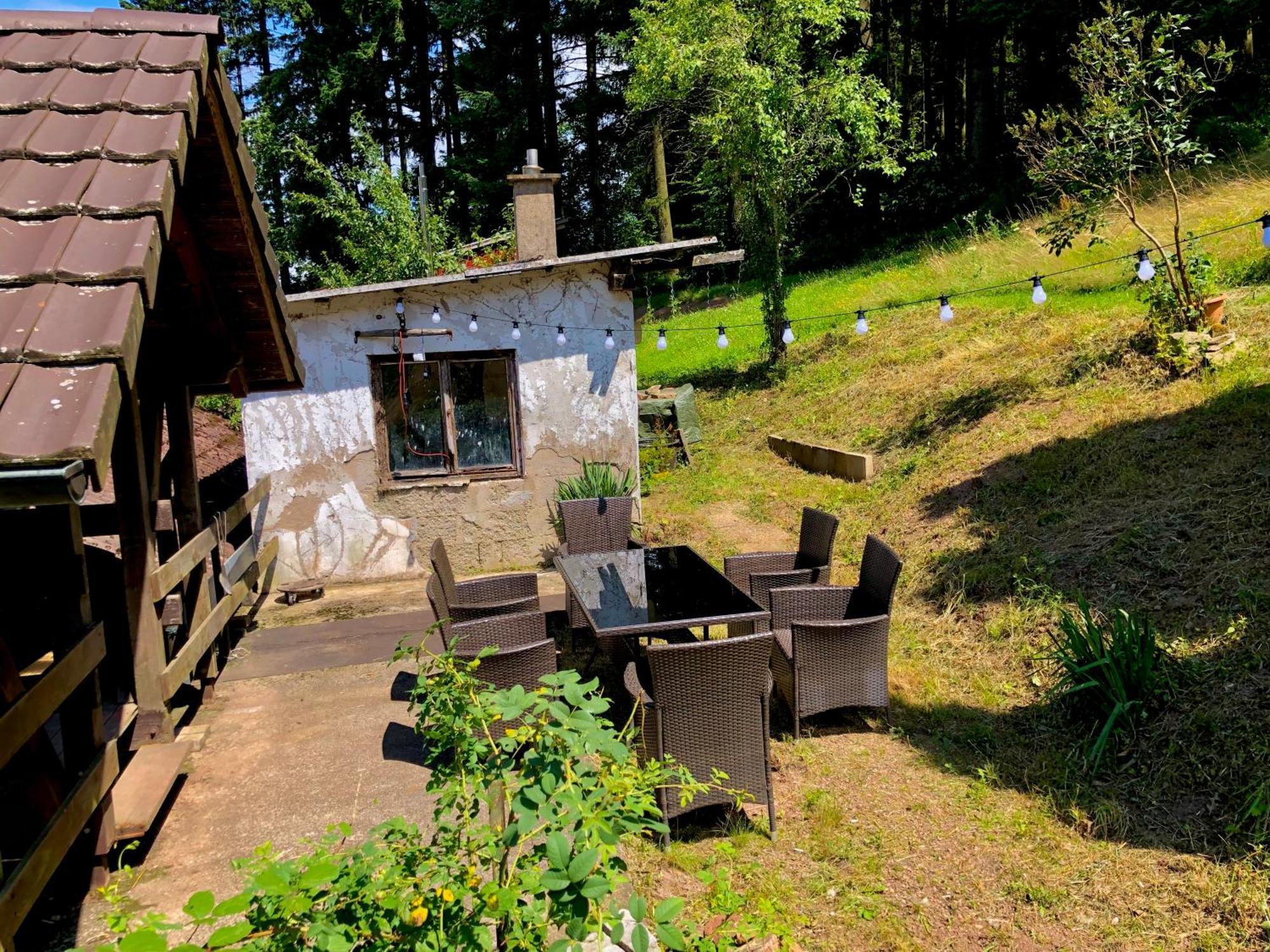 Готель Ferien Im Schwarzwald Freiamt Екстер'єр фото